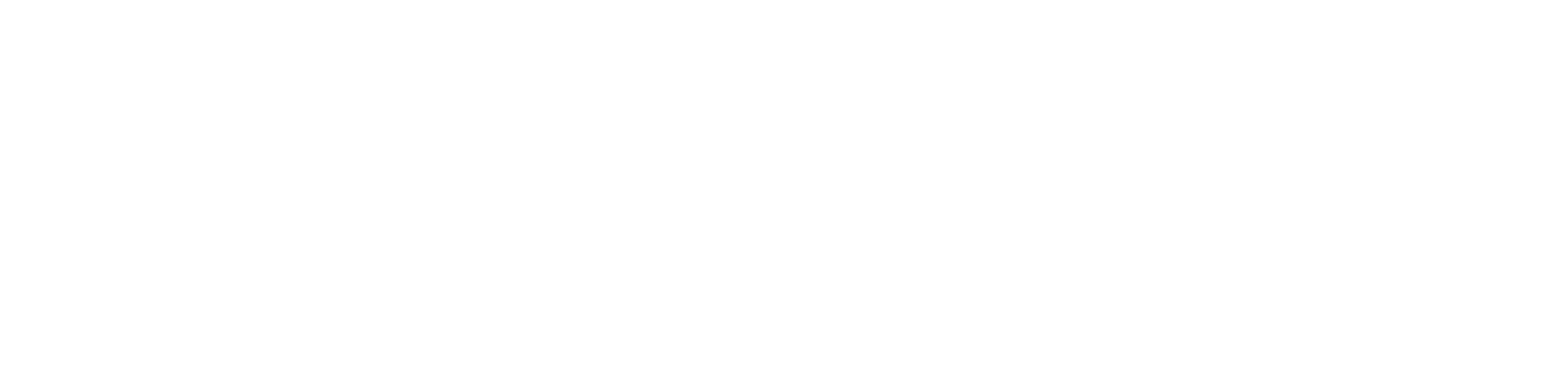 Sellize Logo